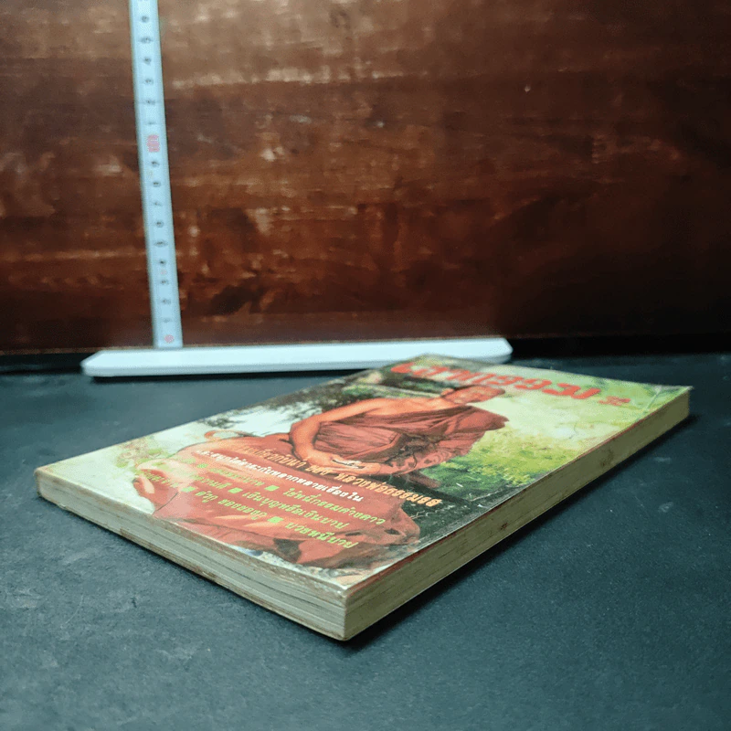 หนังสือ โลกทิพย์ เงากรรม 32 รูปที่ 4