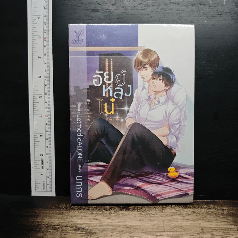 อัยย์หลงไน๋ - นทกร รูปที่ 1