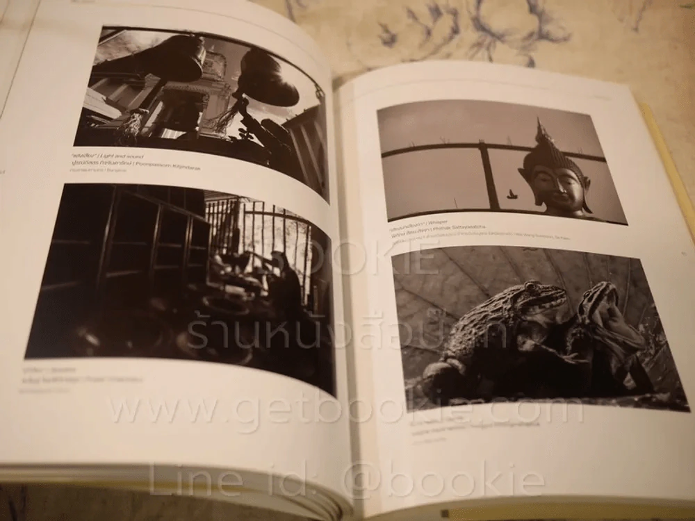 ภาพถ่ายแห่งแผ่นดิน ประจำปี 2556 รูปที่ 7