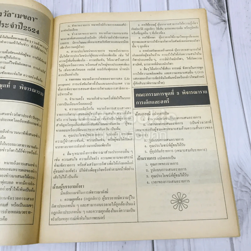 เมขลา รางวัลผลงานดีเด่นทางโทรทัศน์ ประจำปี 2524 รูปที่ 9