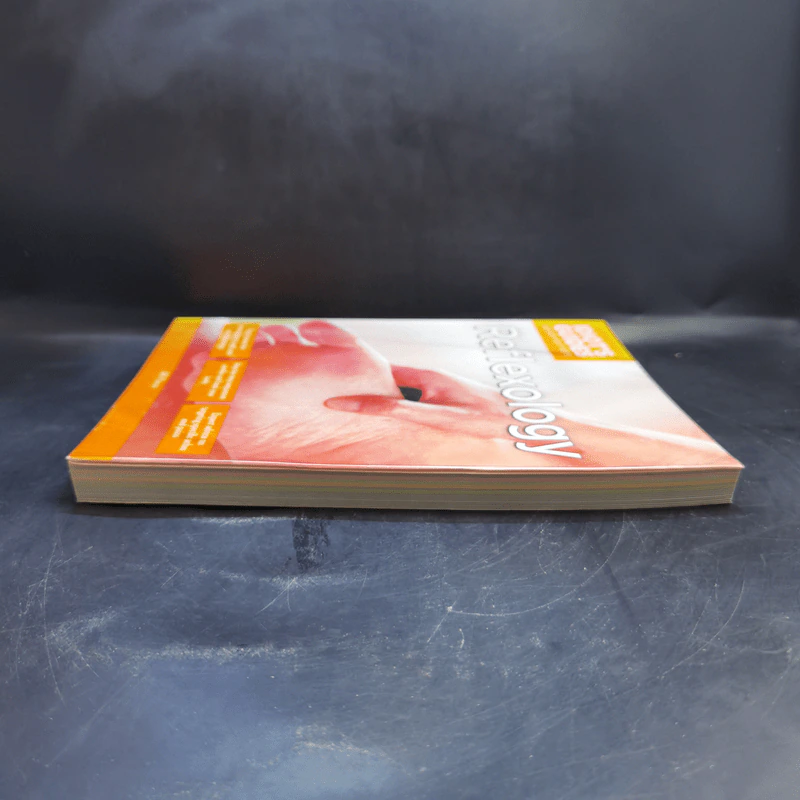 Idiot's Guides: Reflexology - Bill Flocco รูปที่ 5