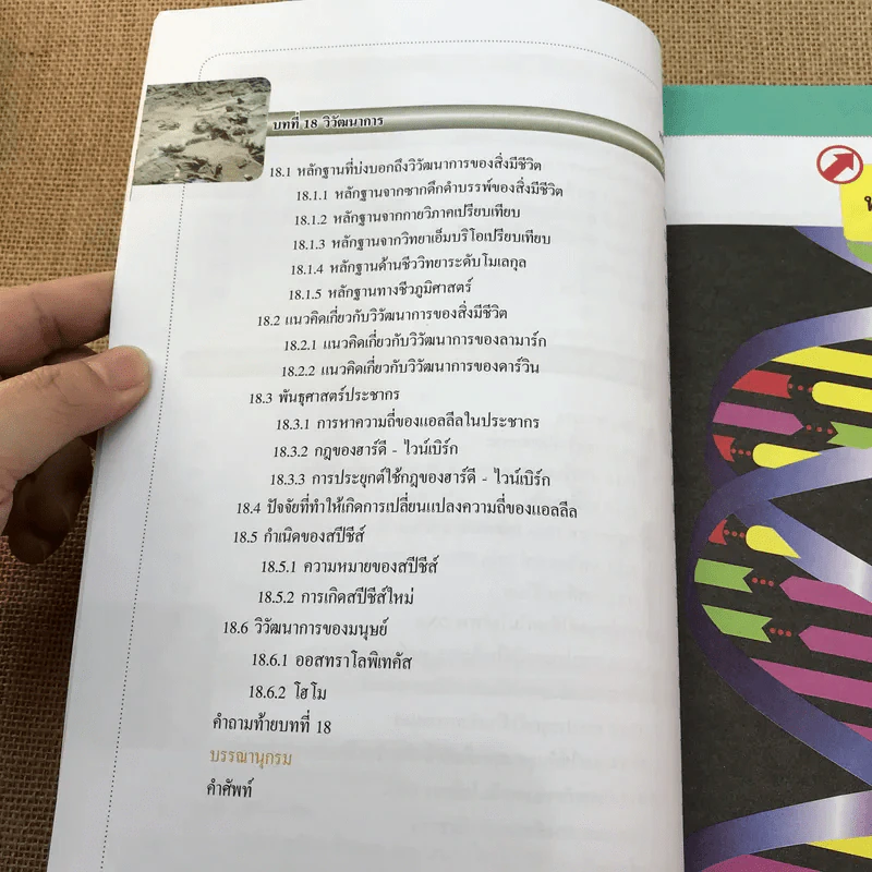 ชีววิทยา เล่ม 4 ชั้นมัธยมศึกษาปีที่ 4-6 รูปที่ 12