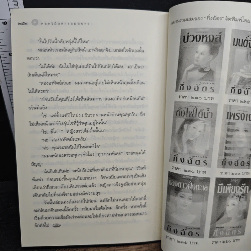 หิมะกลางทะเลทราย - กิ่งฉัตร รูปที่ 8