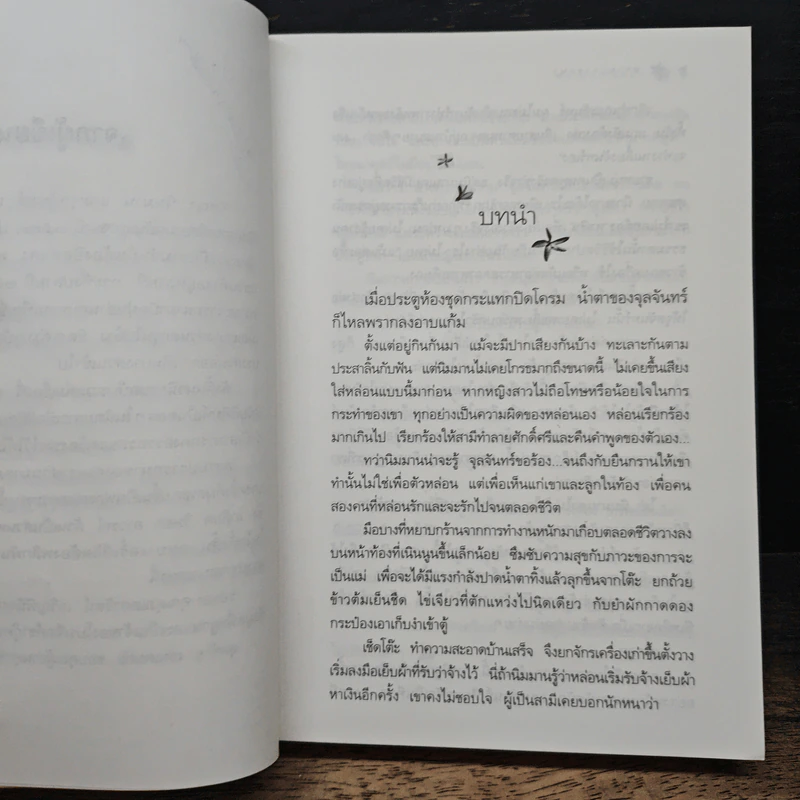 พรายปรารถนา - กิ่งฉัตร รูปที่ 7
