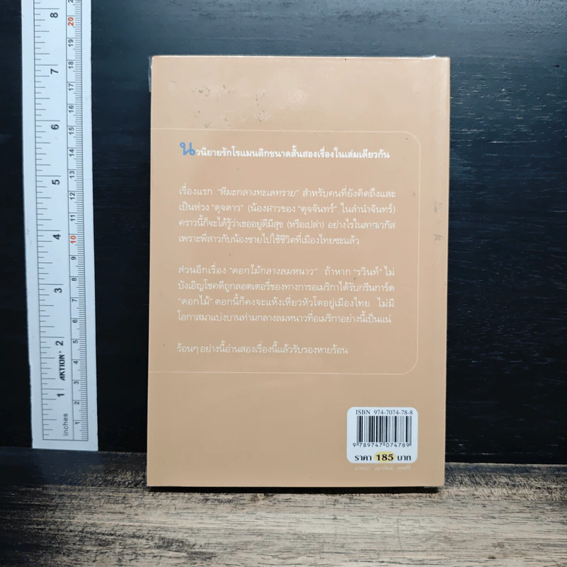 หิมะกลางทะเลทราย - กิ่งฉัตร รูปที่ 2