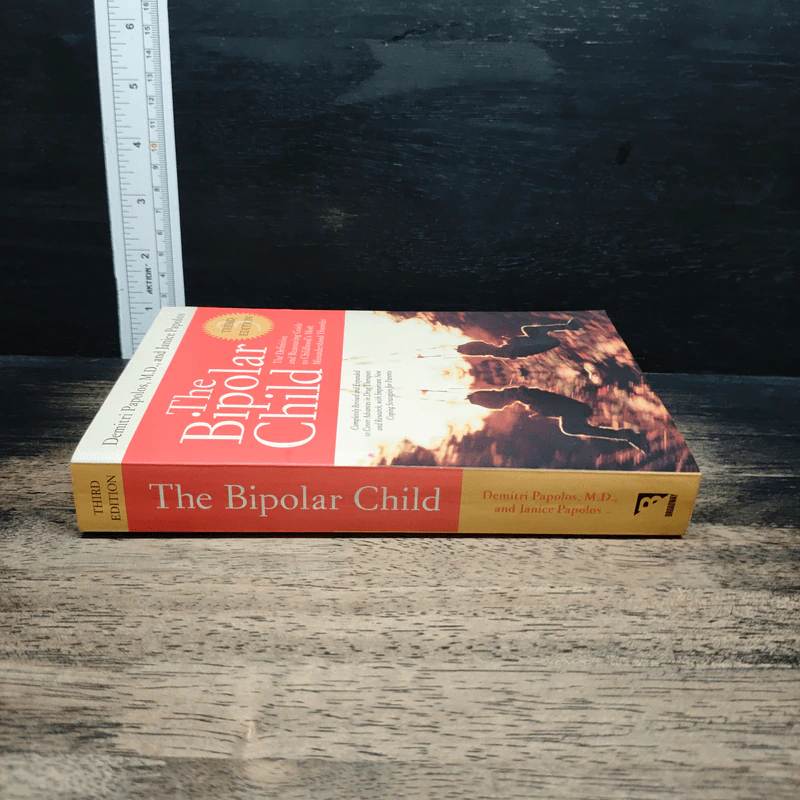 The Bipolar Child รูปที่ 3