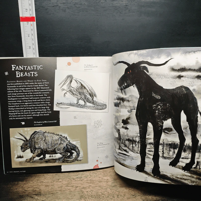 Harry Potter: A Journey Through a History of Magic รูปที่ 8