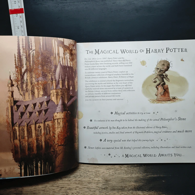 Harry Potter: A Journey Through a History of Magic รูปที่ 7