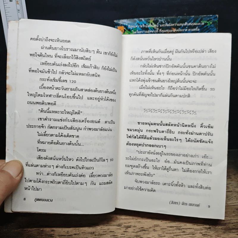 ภูตคนอลเวง 2 เล่มจบ - (สิงขร) จักร เขลางค์ รูปที่ 8