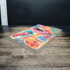 บินแหลก 4 - อีแร้ง รูปที่ 4