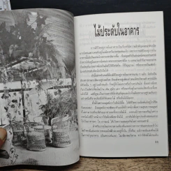 ไม้ประดับในอาคาร รูปที่ 7