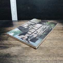 ไม้ประดับในอาคาร รูปที่ 4