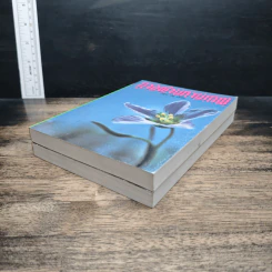 หนังสือ ทางผ่านกามเทพ 2 เล่มจบ - กรุง ญ. ฉัตร รูปที่ 4