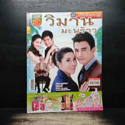วิมานมะพร้าว เรื่องย่อละคร ภาพยนตร์บันเทิง รูปที่ 1