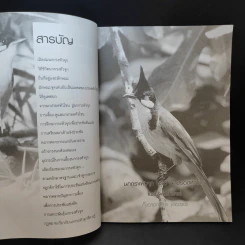 นกกรงหัวจุก - อารยะ รูปที่ 10
