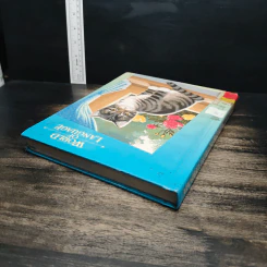 World of Language รูปที่ 5