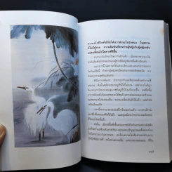 องค์หญิงไท่ผิง - ธานี ปิยสุข รูปที่ 12