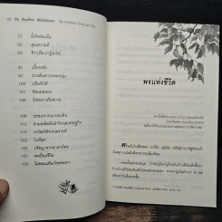 ท้อแค่ไหนต้องไม่อ่อนแอ - พระไพศาล วิสาโล รูปที่ 9