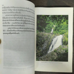 คนเดินป่า - สุรจิต จามรมาน รูปที่ 8