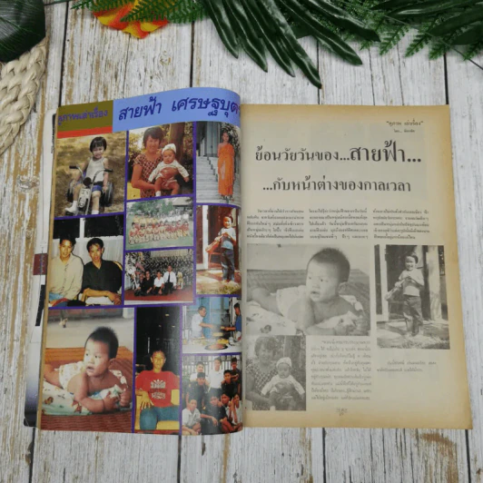 The Boy No.28 พีท ทองเจือ รูปที่ 9