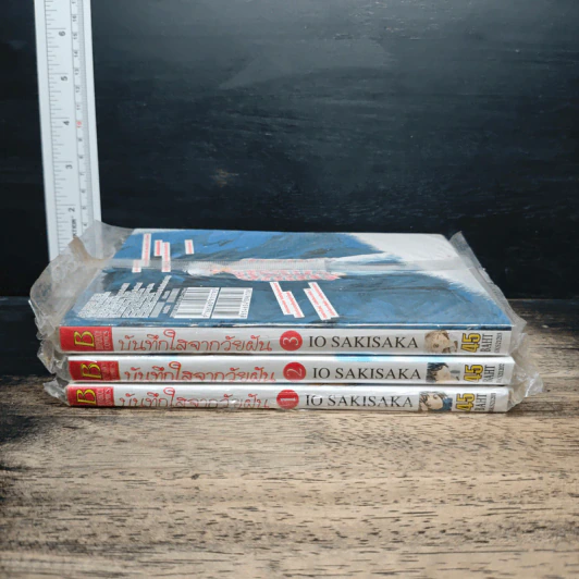 บันทึกใสจากวัยฝัน เล่ม 1-3 - IO SAKISAKA รูปที่ 3