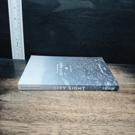 CITY SIGHT เมืองที่มองไม่เห็น - สรณรัชฎ์ กาญจนะวณิชย์ รูปที่ 3