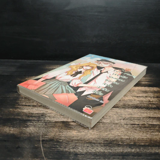Foxy Pilot เจ้าหญิงจอมแสบแอบชิงหัวใจนักบินขี้เบื่อ - เจ้าหญิงผู้เลอโฉม รูปที่ 4