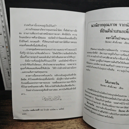 ใต้ร่มไม้เลื้อย รูปที่ 8