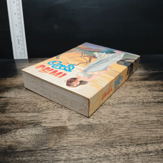เพลิงสุมใจ รูปที่ 5