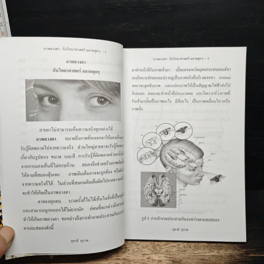 ภาพลวงตากับวิทยาศาสตร์ฉลาดสุด ๆ - สุชาติ สุภาพ รูปที่ 9