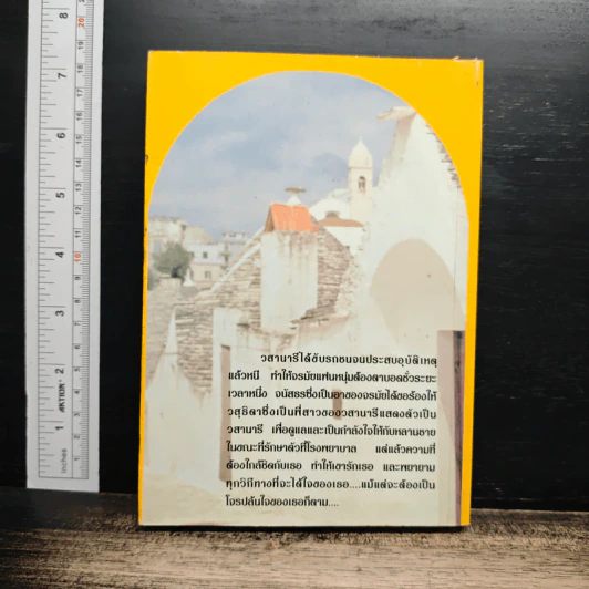 โจรปล้นใจ - วลัย นวาระ รูปที่ 2