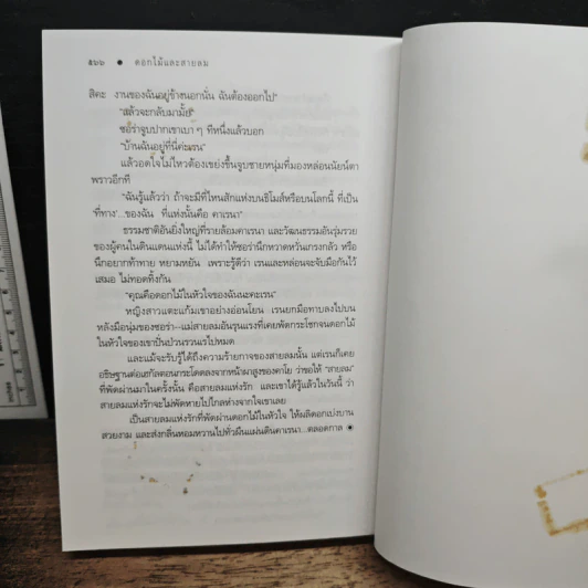 ดอกไม้และสายลม - ดวงตะวัน รูปที่ 8