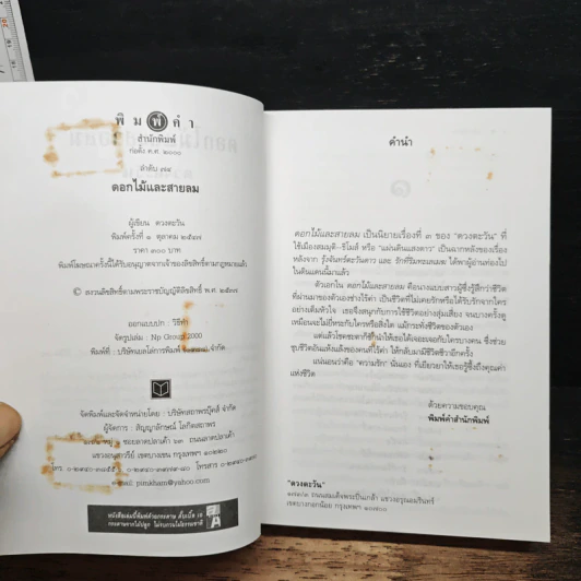 ดอกไม้และสายลม - ดวงตะวัน รูปที่ 6