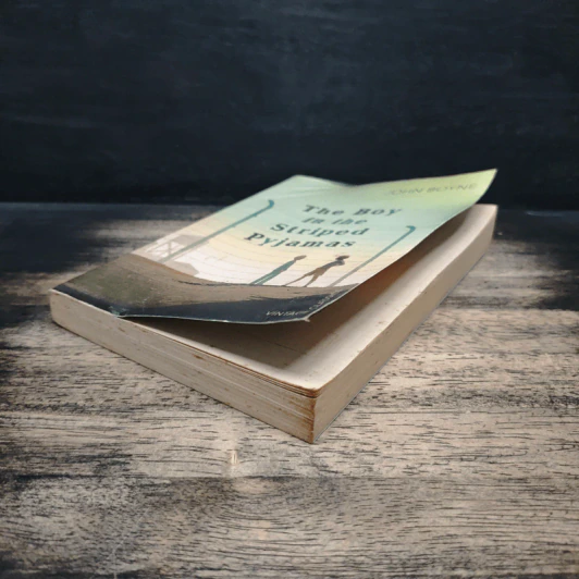 The Boy in the Striped Pyjamas - John Boyne รูปที่ 4