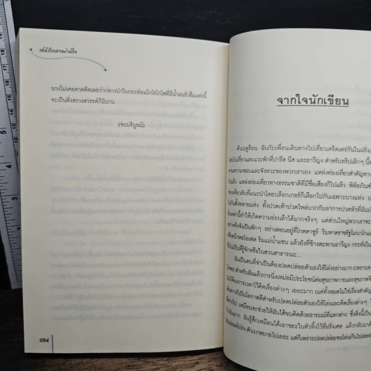 เล่ห์รักกลางม่านใจ - ชั่นเฟย, กระดิ่งลม รูปที่ 8