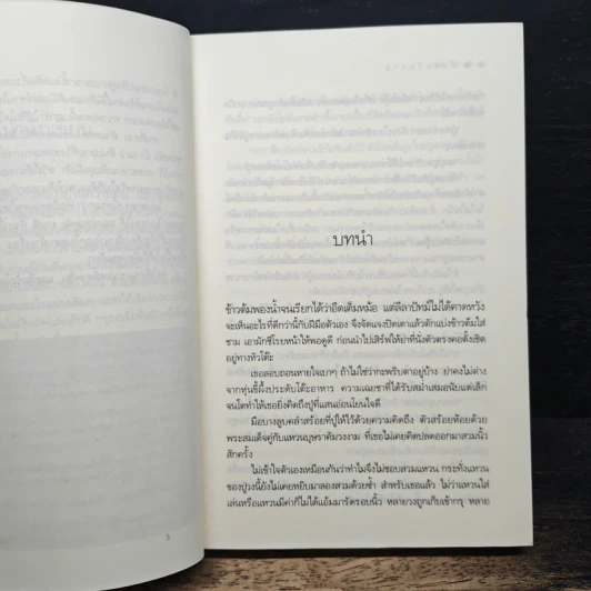 ดั่งฝันวันวาน - นณกร รูปที่ 7