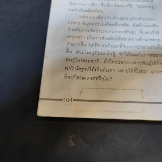 นกกรงหัวจุก - อารยะ รูปที่ 14