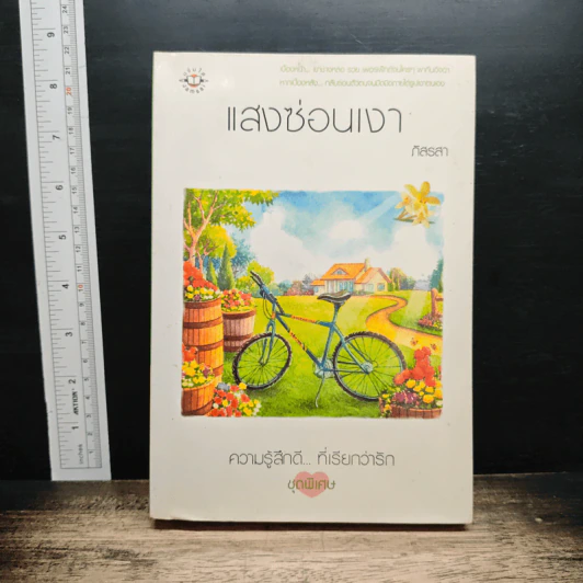 แสงซ่อนเงา รูปที่ 1