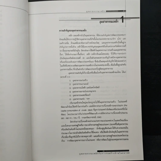 อุตสาหกรรมเหล็กกับการก่อสร้างบ้านในอนาคต - จรัญพัฒน์ ภูวนันท์ รูปที่ 8