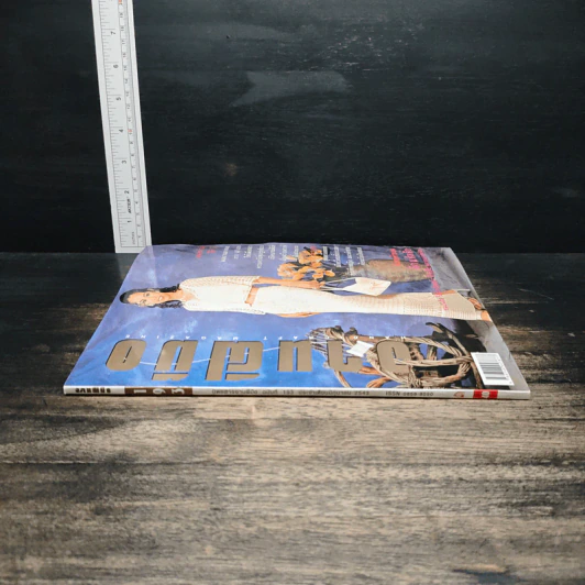 งานฝีมือ ฉบับที่ 193 มิ.ย. 2543 รูปที่ 3