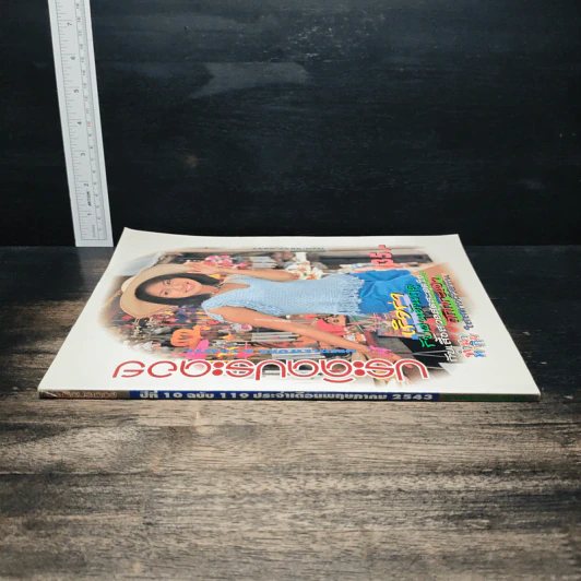 ประดิดประดอย ปีที่ 10 ฉบับที่ 119 พ.ค.2543 รูปที่ 2