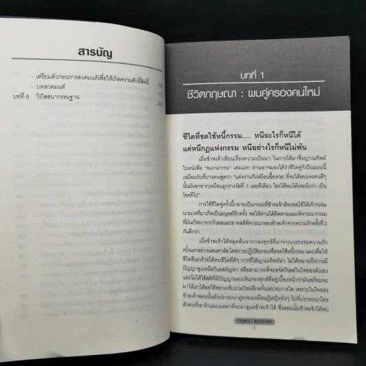 สแกนกรรม 2 - กฤษณา สุริยะมงคล รูปที่ 12