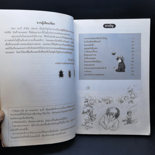 การ์ตูนความรู้ ชุด คนของโลก ฌอง อองรี เฟเบรอ ผู้เปิดโลกของแมลง รูปที่ 10