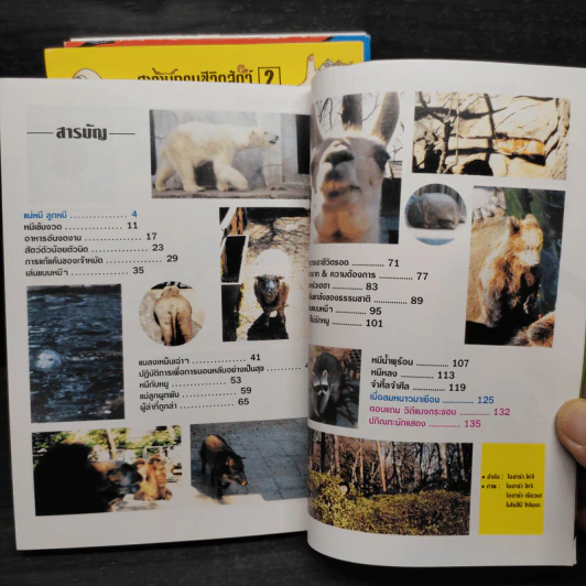 สารานุกรมชีวิตสัตว์ หมีบ้าฮาลั่นป่า เล่ม 1-4 รูปที่ 6