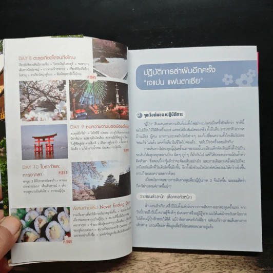 เที่ยวไม่ง้อทัวร์ ตีตั๋วตะลุยญี่ปุ่น 2 รูปที่ 8