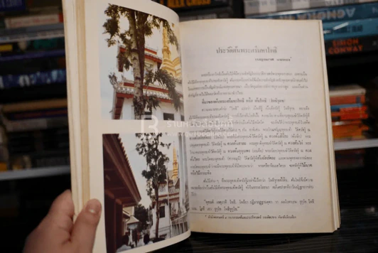 โพธิใต้แม่ (บันทึกเรื่องราวเกี่ยวกับต้นพระโพธิ) รูปที่ 7