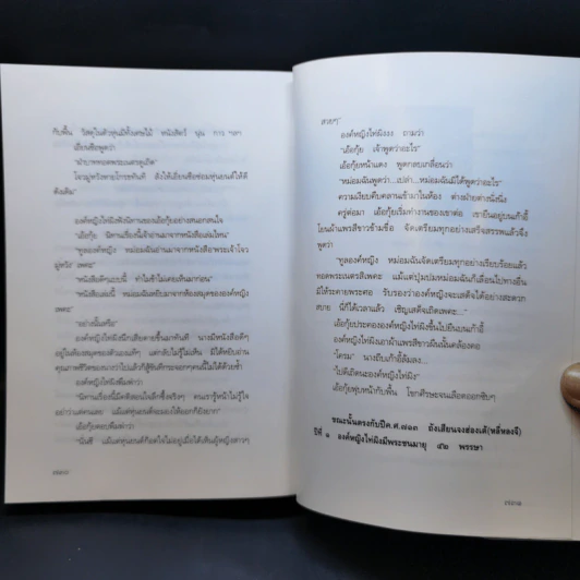 องค์หญิงไท่ผิง - ธานี ปิยสุข รูปที่ 13