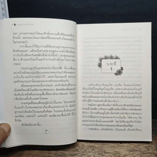แผนร้ายเกี่ยวรัก - กิ่งฉัตร รูปที่ 8