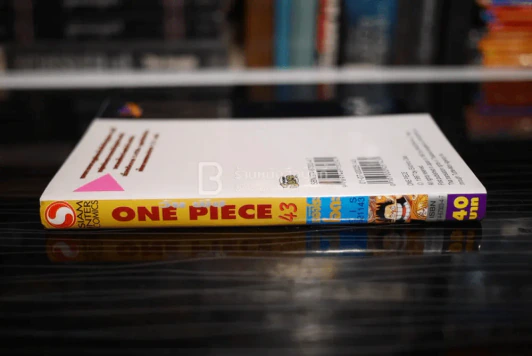 One Piece วันพีช รูปที่ 2