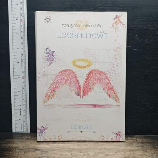 บ่วงรักนางฟ้า รูปที่ 1